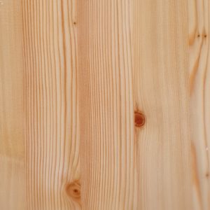 Siberian Larch